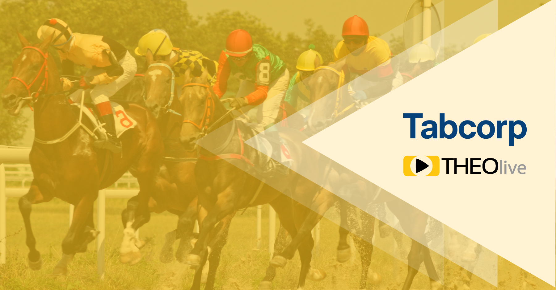 THEOlive Sports betting